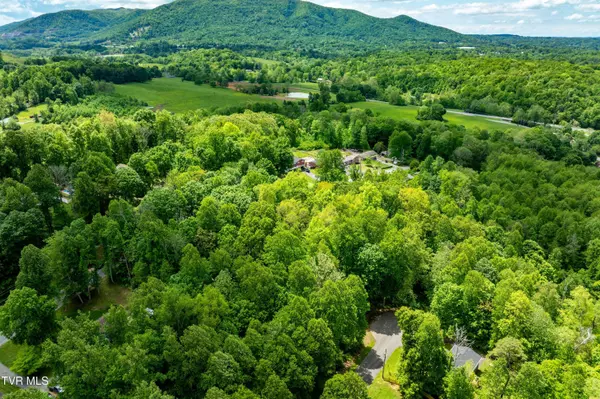 Johnson City, TN 37604,Tbd Victor DR