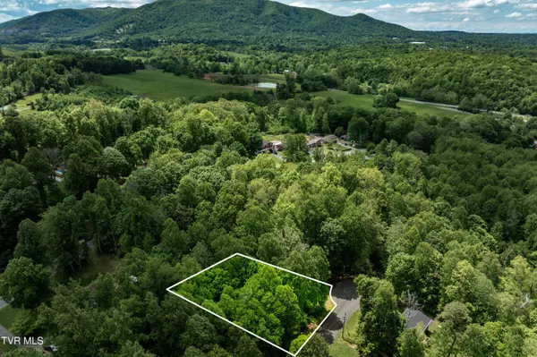 Johnson City, TN 37604,Tbd Victor DR