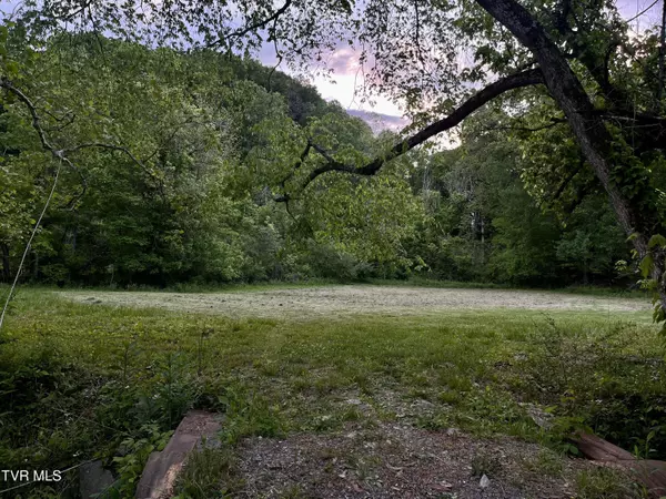 Jonesborough, TN 37659,1909 Gray Station Sulphur Springs RD