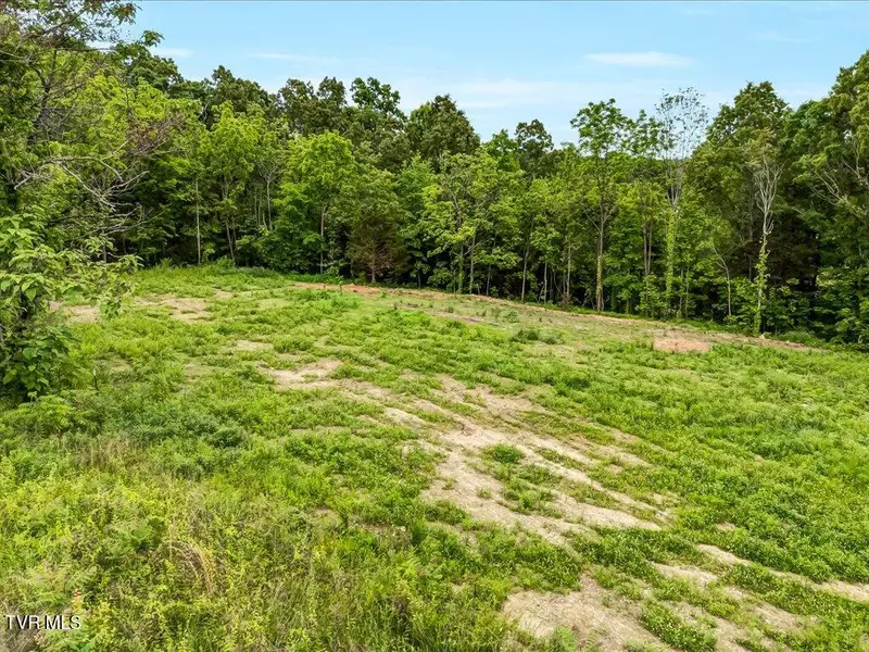 0 Ostrich LN, Rutledge, TN 37861