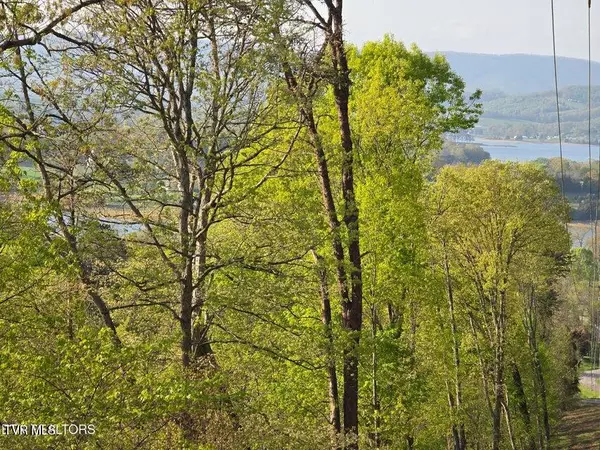 Morristown, TN 37814,Tbd Boatmans Mountain RD