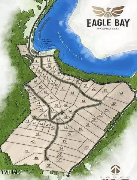 Tr 40 Cowan Town RD, Butler, TN 37640