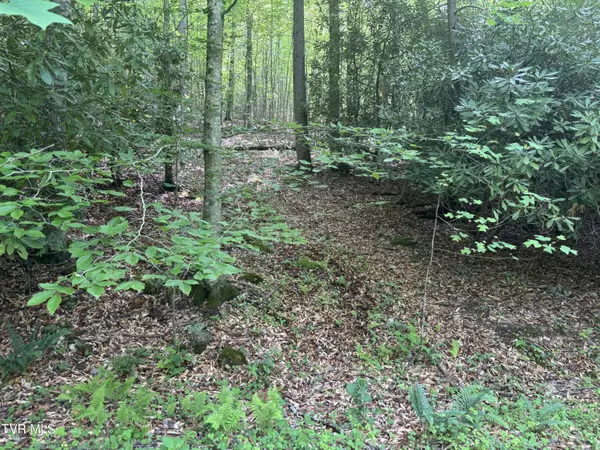 Butler, TN 37640,Lot 6b Of Roan Creek RD