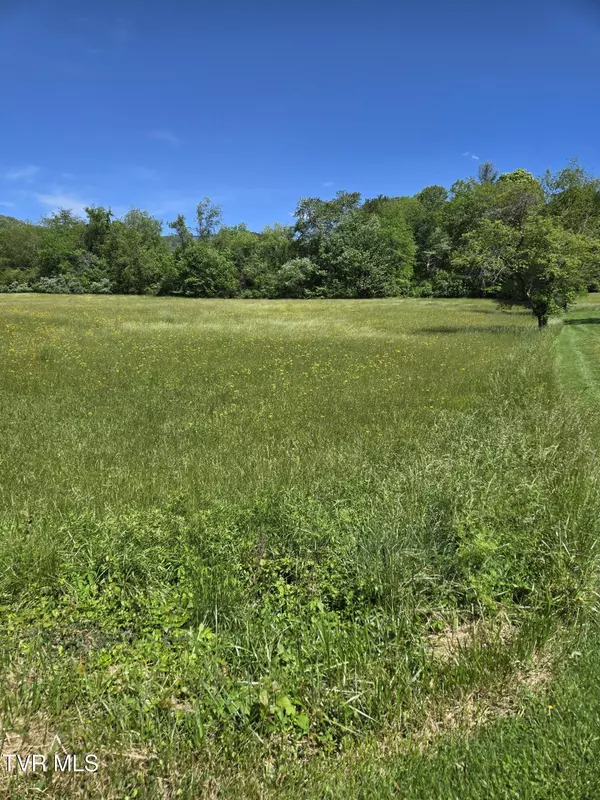 Erwin, TN 37650,Tbd Unaka View DR