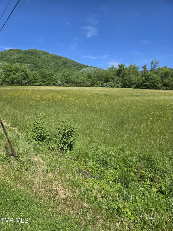 Erwin, TN 37650,Tbd Unaka View DR