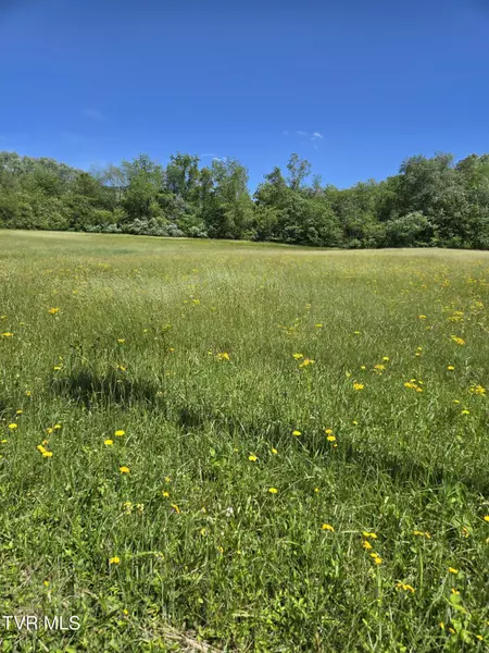 Tbd Unaka View DR, Erwin, TN 37650