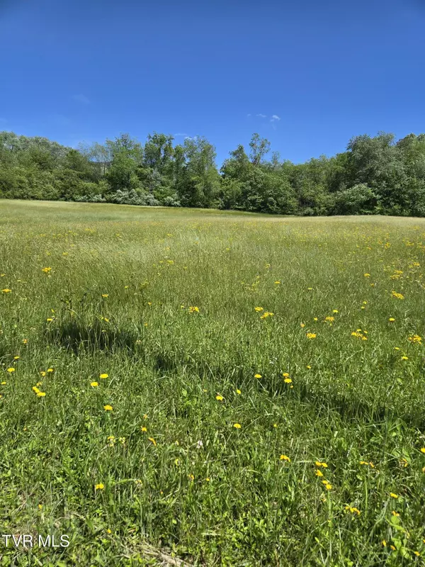 Erwin, TN 37650,Tbd Unaka View DR