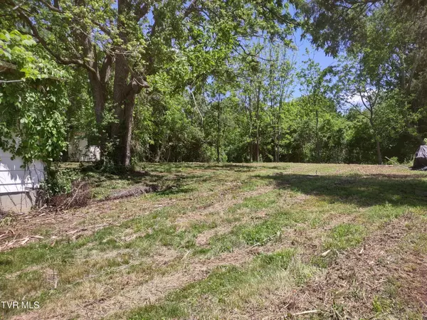 Bristol, VA 24202,24099 Young DR