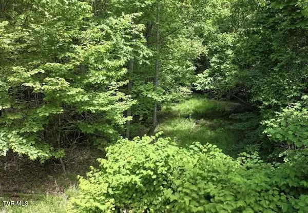 Castlewood, VA 24224,Tbd Buffalo Hollow RD