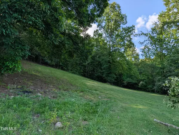 Gate City, VA 24251,Tbd Hilton RD
