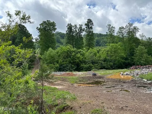 Bristol, VA 24202,0 Ivanhoe RD