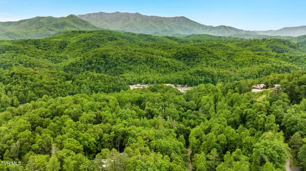 Gatlinburg, TN 37738,Tbd King DR