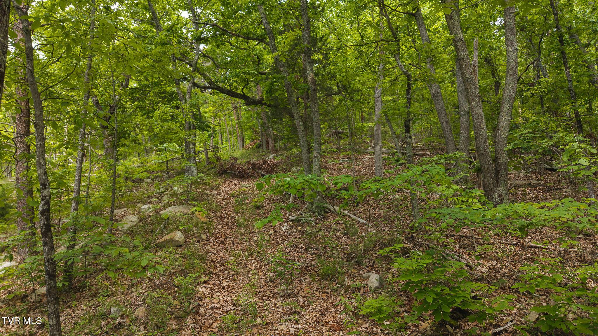Thorn Hill, TN 37881,0 25e HWY