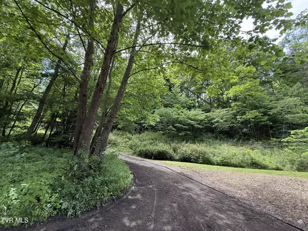 Butler, TN 37640,Tbd Rattlesnake Ridge Lot 19 & 31