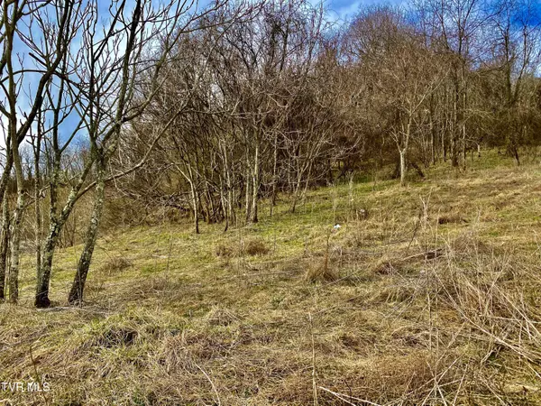 Marion, VA 24354,0 Wndy Drive