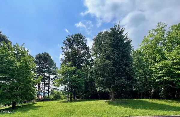 00 Welch RD, Kingsport, TN 37660