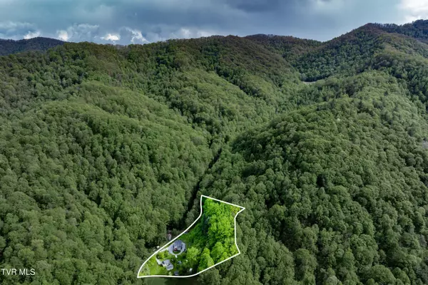 Flag Pond, TN 37657,150 Rice RD