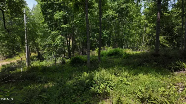 Butler, TN 37640,Tr 1 Atwood PT