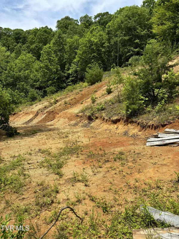 Hampton, TN 37658,719 Simerly Creek