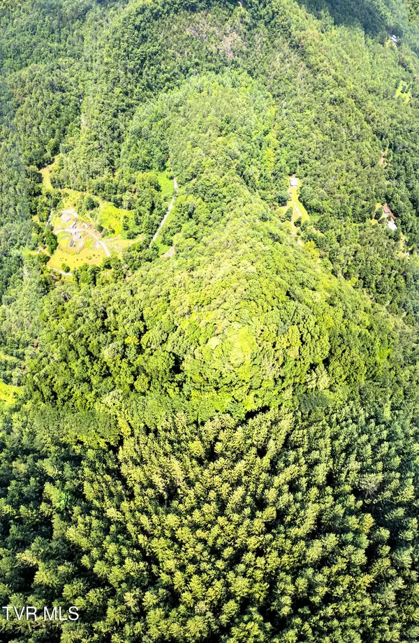 Del Rio, TN 37727,0000 Old 15th RD