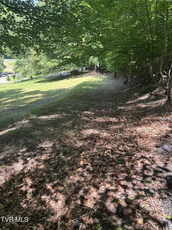 Clintwood, VA 24228,275 Friend ST