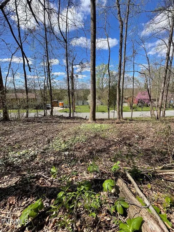 Tbd Kings Bay DR, Kingsport, TN 37660