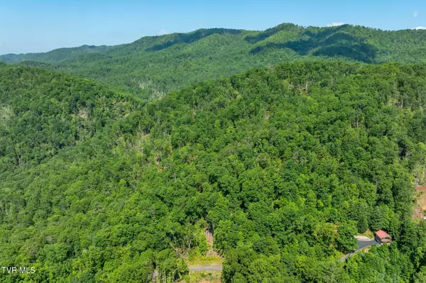 Mountain City, TN 37683,Tbd Longview Private DR