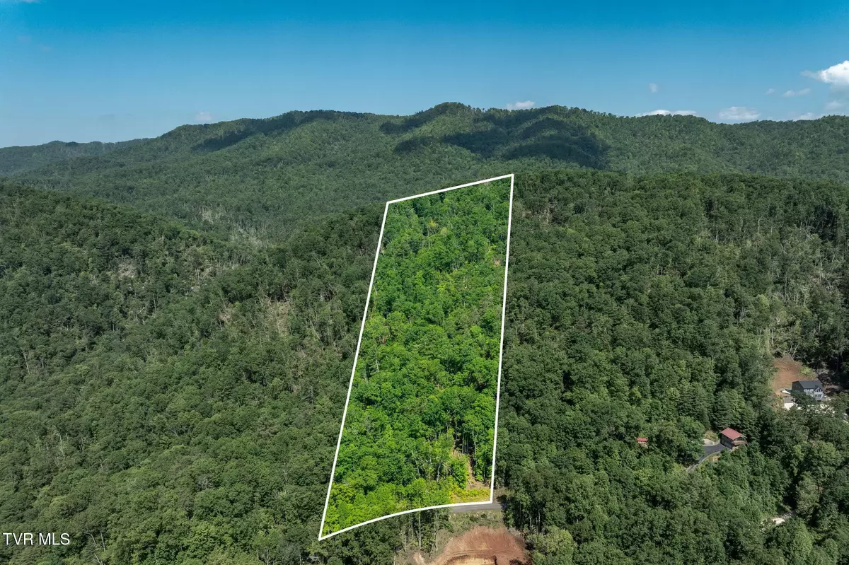Mountain City, TN 37683,Tbd Longview Private DR