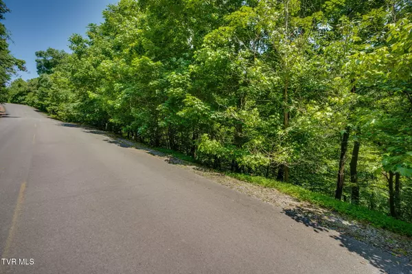 Whitesburg, TN 37891,Lot 4 Walnut Bend DR