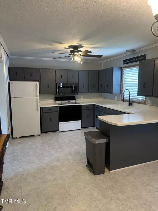 Erwin, TN 37650,106 Buffalo CT