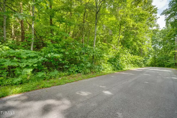 Gray, TN 37615,Lot 40 Ridgeheights DR