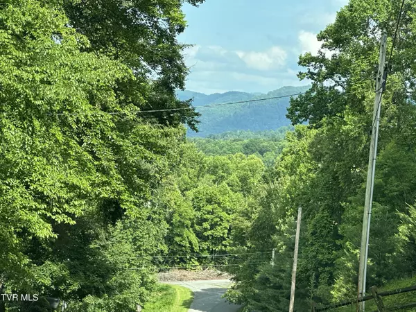 Hampton, TN 37658,550 Escape Mountain RD