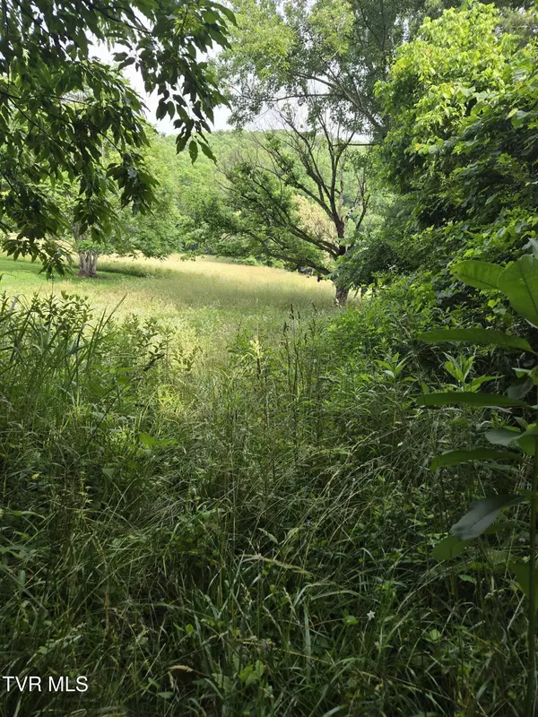 Erwin, TN 37650,Tbd Mohawk North DR