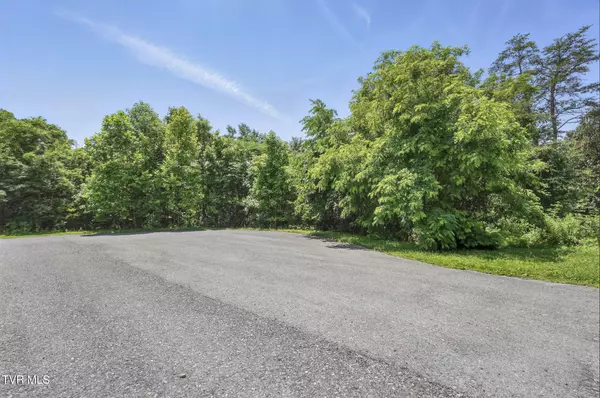Church Hill, TN 37642,2064 Scenic Pointe PL