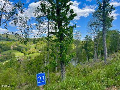 Butler, TN 37640,Lot 23 Cowan Town RD