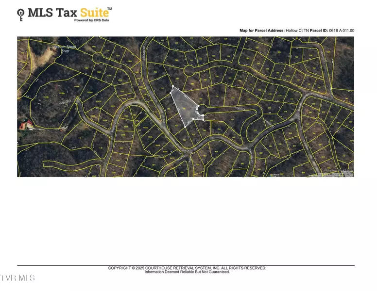 Tr 1 Hollow CT, White Pine, TN 37890