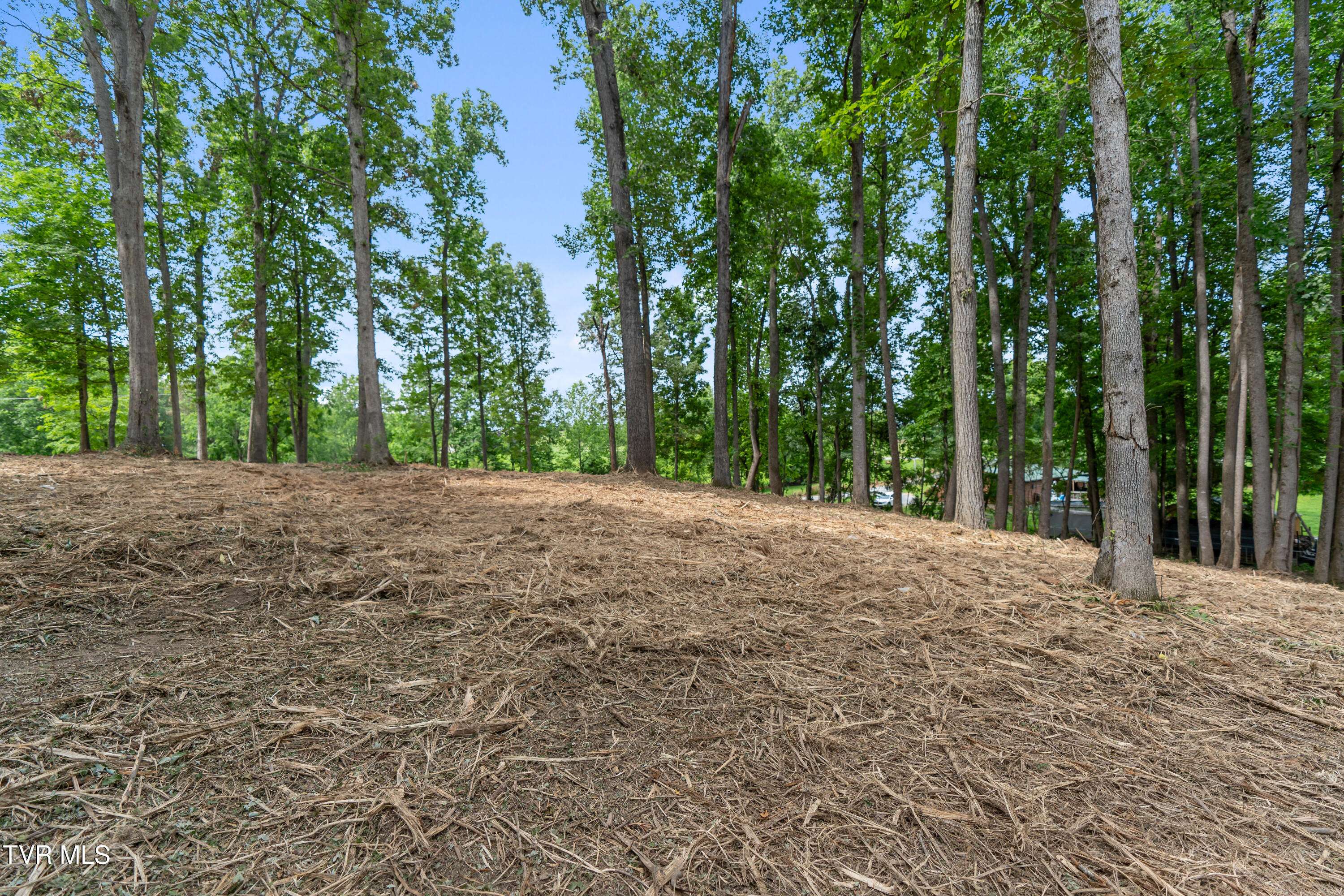 Greeneville, TN 37745,1 Acre J Mell Johnson RD