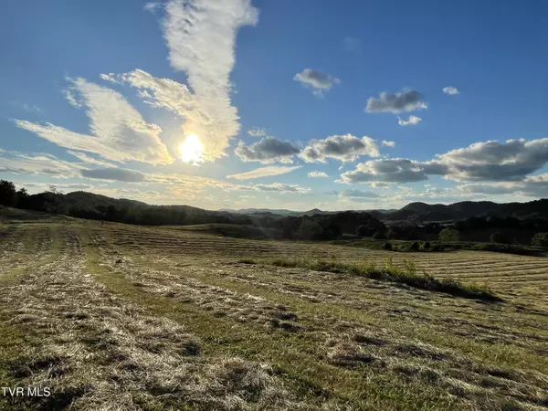 Bluff City, TN 37618,1056 White Top RD