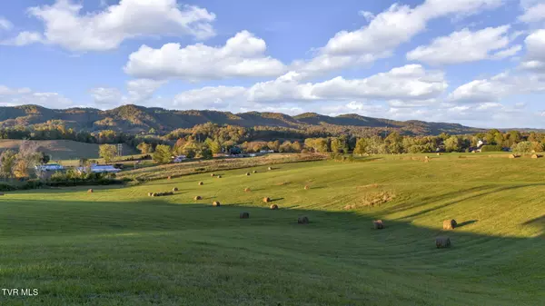 Bluff City, TN 37618,1056 White Top RD