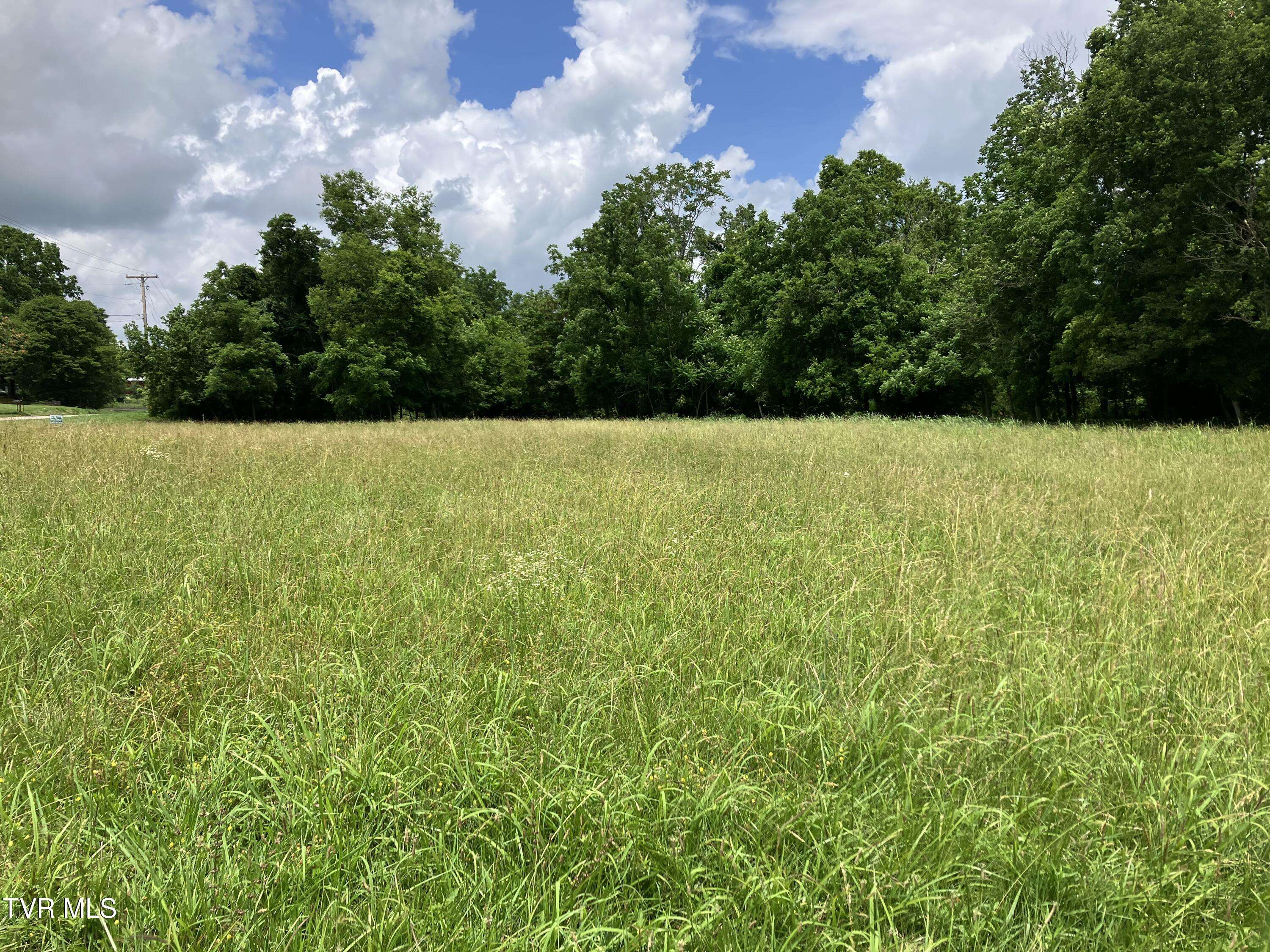 Tbd Treadway Trail, Jonesborough, TN 37659