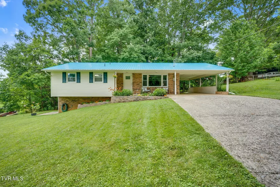 380 Lovelace Mountain View LOOP, Fall Branch, TN 37656