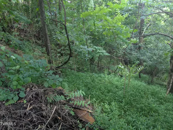 248 Bayberry DR, Kingsport, TN 37663