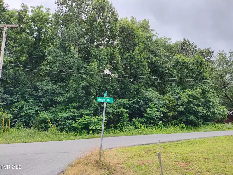 Lot 21 Argonne ST, Kingsport, TN 37664