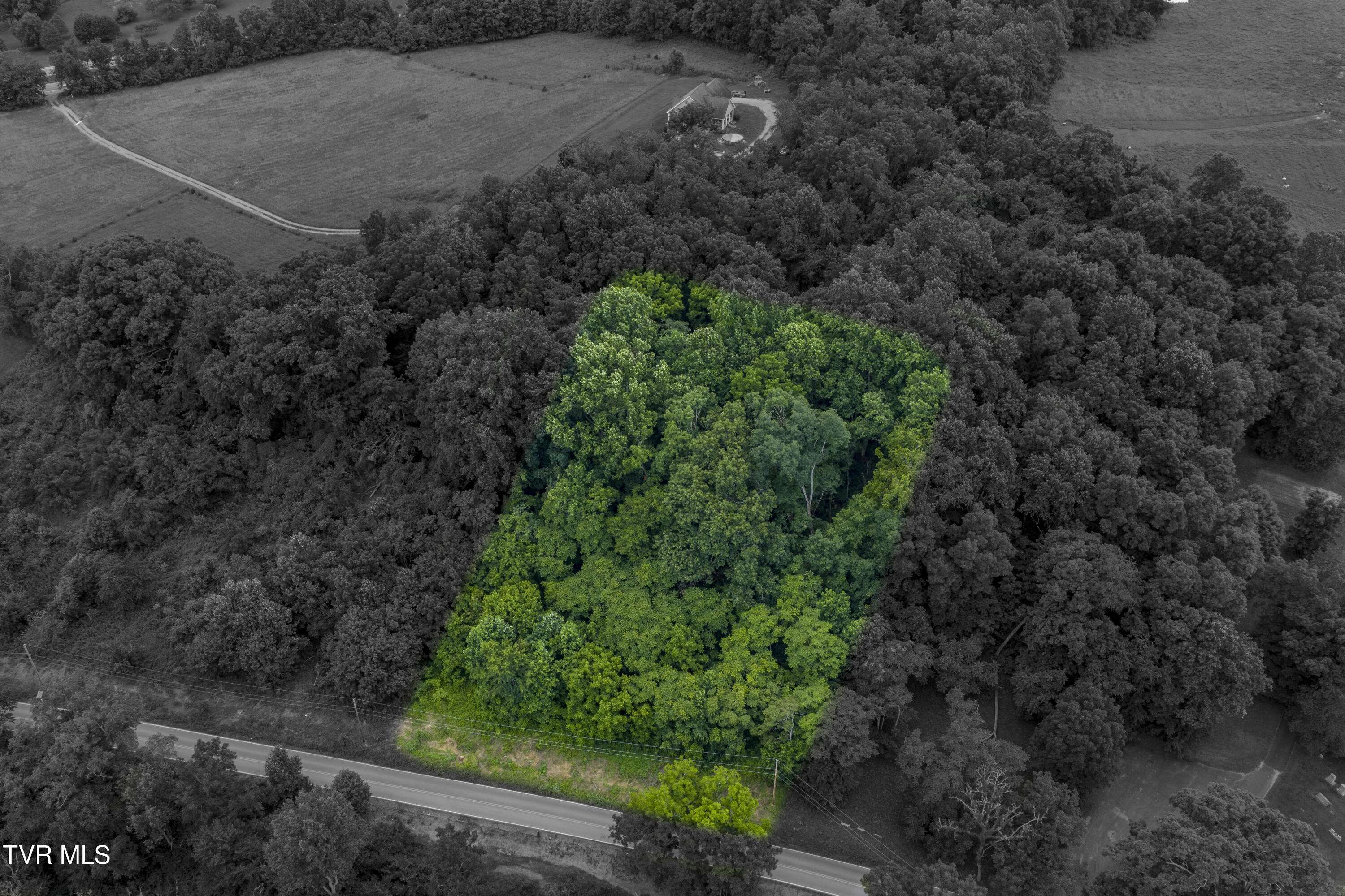 Lot 7 Clear Springs RD, Limestone, TN 37681