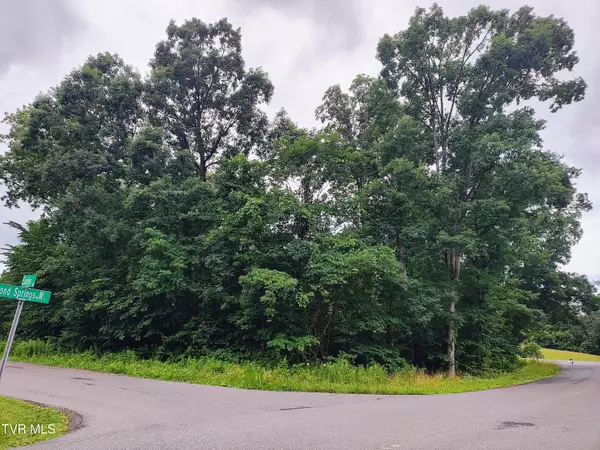 Lot 16 Easley DR, Kingsport, TN 37664