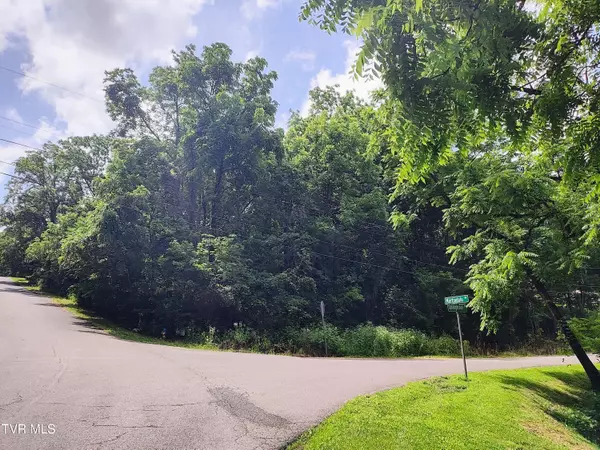 302 Martindale RD, Bristol, TN 37620