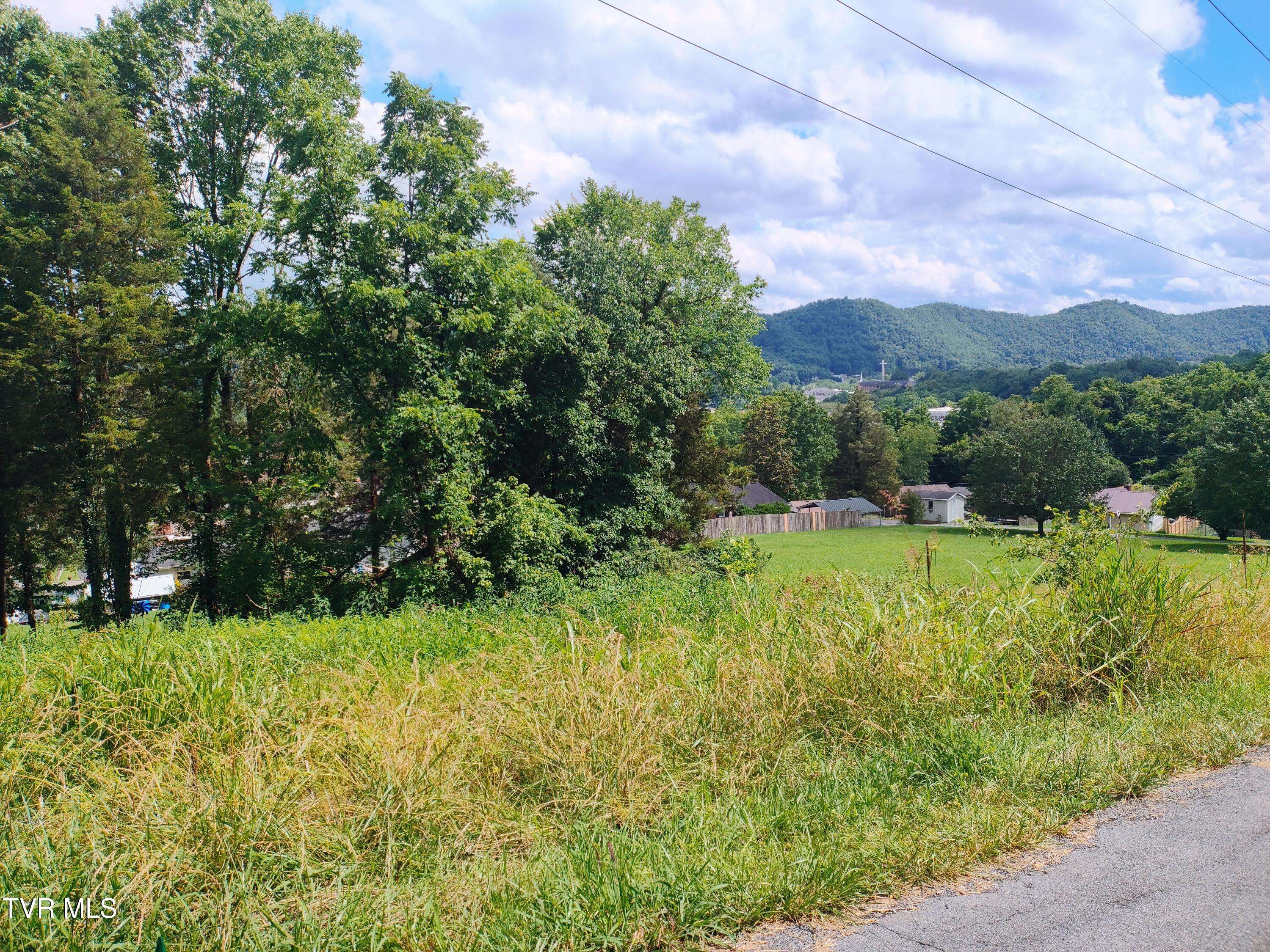 Lot 13 Mountain View DR, Bristol, TN 37620