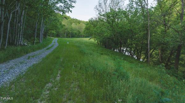 Eidson, TN 37731,Lot 10 Big Springs RD