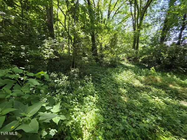 Elizabethton, TN 37643,1033 Berry RD