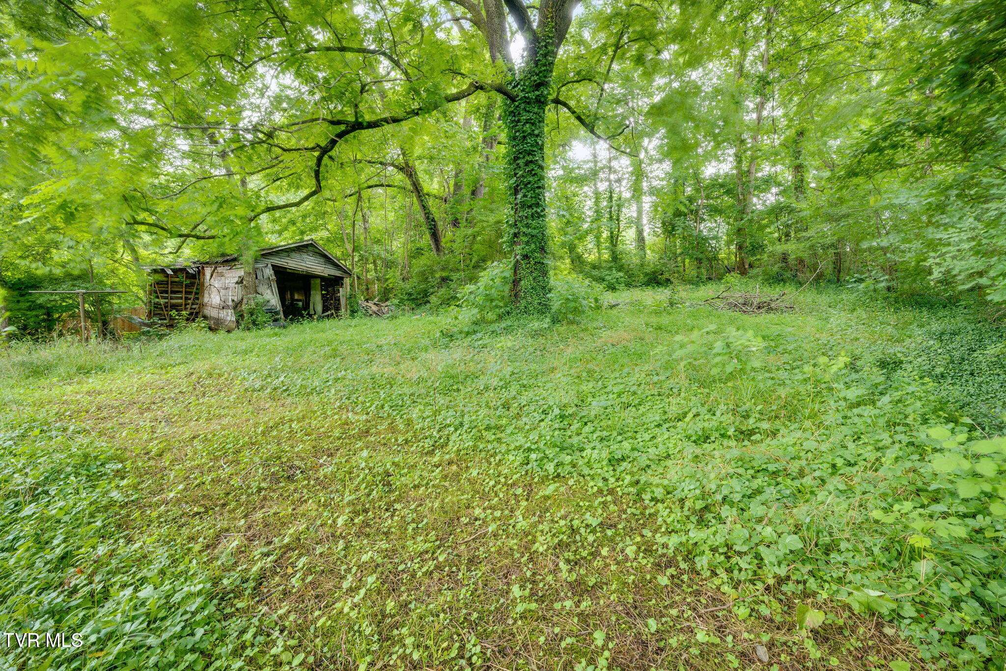 1033 Berry RD, Elizabethton, TN 37643